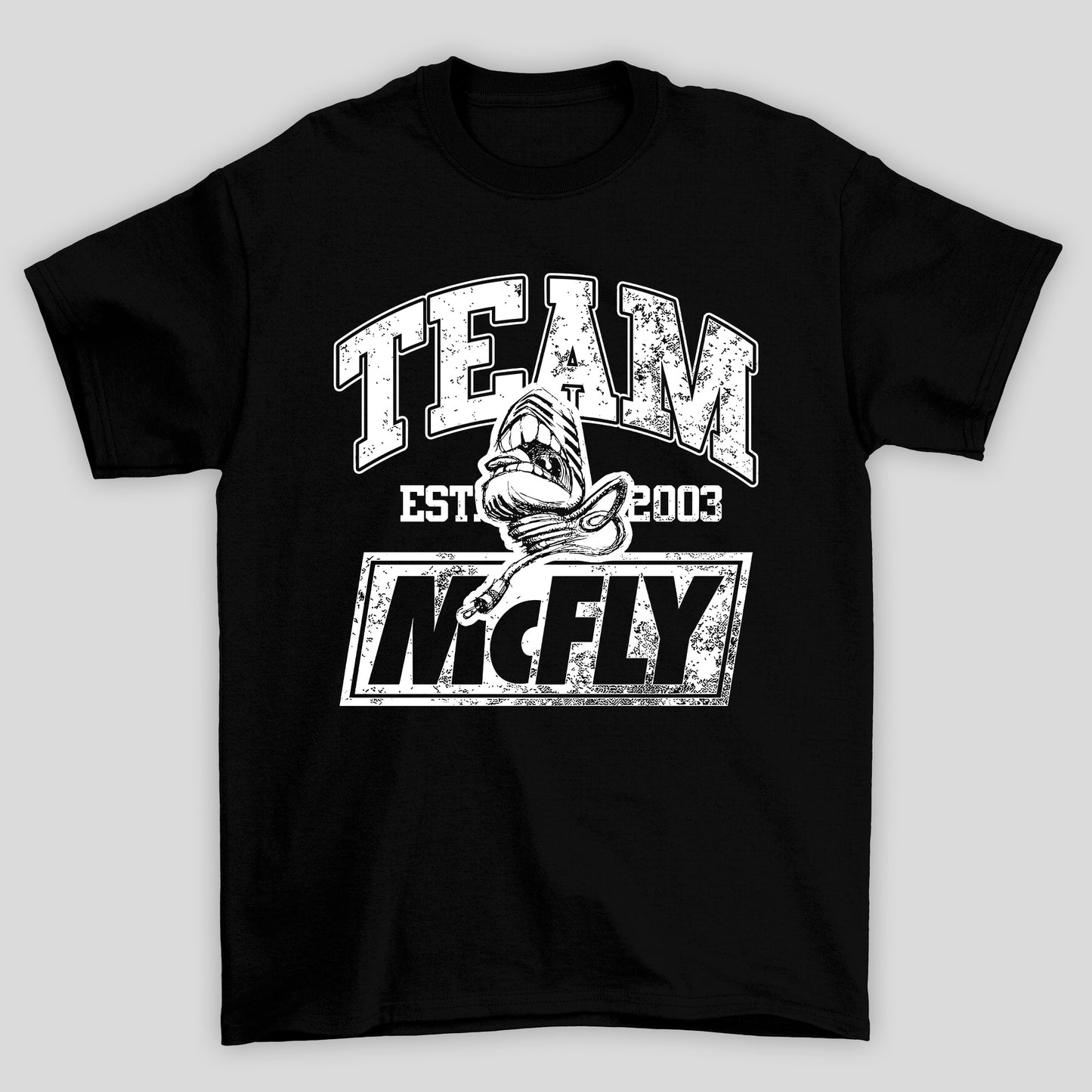 Camiseta Básica Team McFLY
