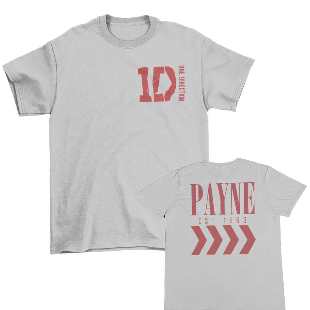 Camiseta Básica One Direction Liam Payne 1993 Cinza 